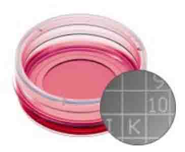 如何快速找回之前觀察過(guò)的細(xì)胞