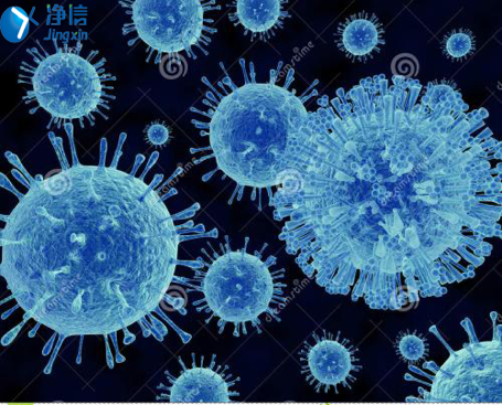 細胞(病毒)展示圖